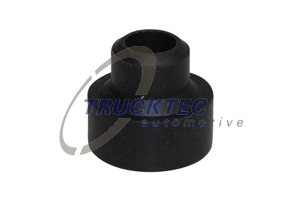 Holder, injector